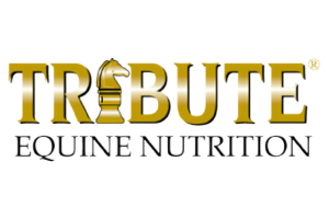 Tribute